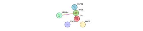 rnls|RNLS Gene .
